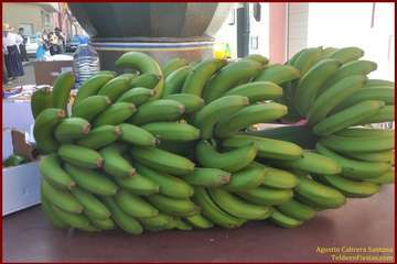 Los barrios de Telde, de romería: El Goro (Foto 1-66) y Caserío de Gando (Foto 67-97) (Reportaje gráfico TF)